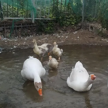 Maison A La Campagne